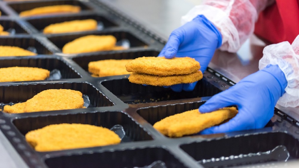 食品级检测报告主要检测哪几个项目